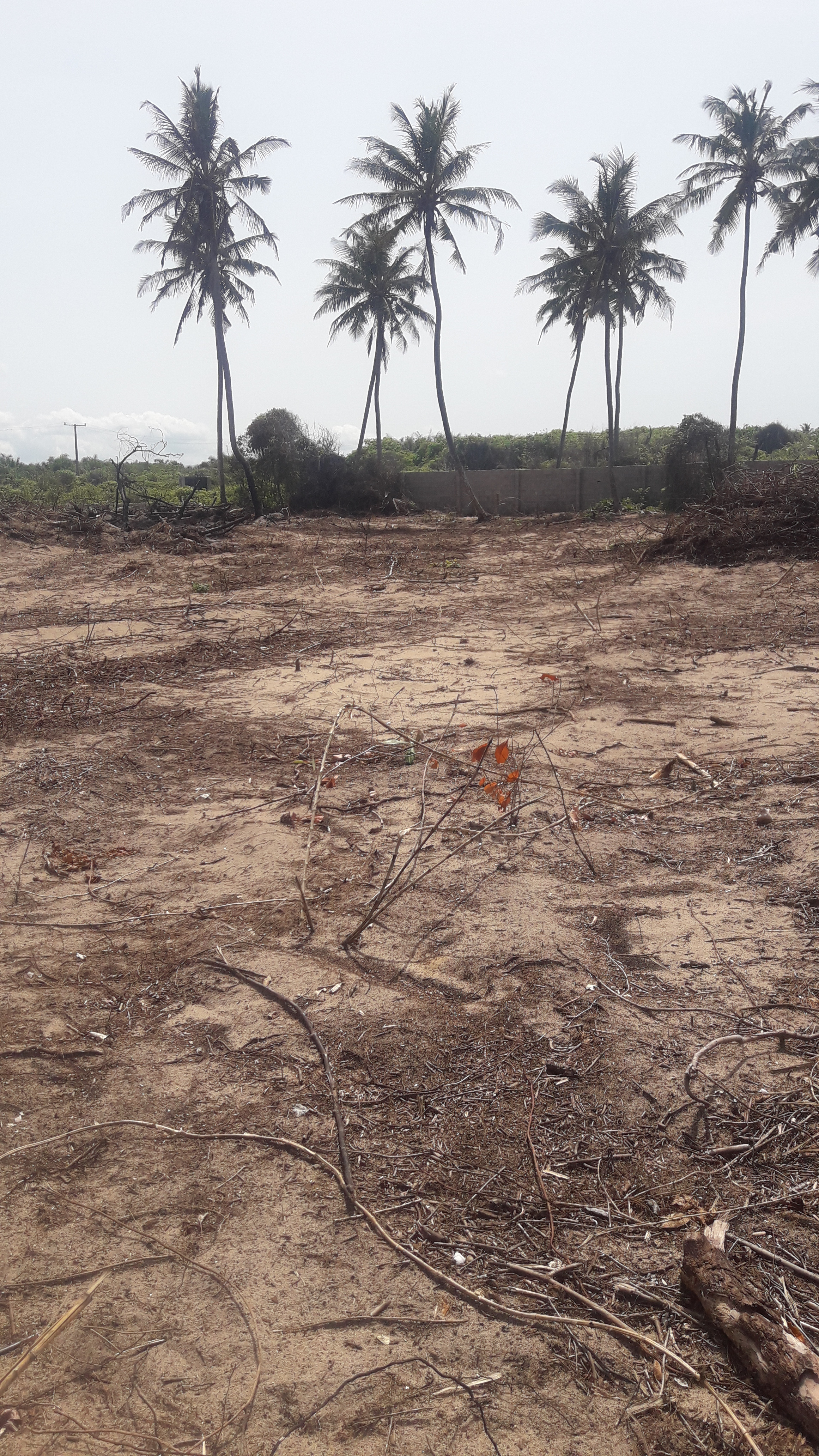 Land with Governor's  consent for sale in Vopnu City Ocean View Estate.
