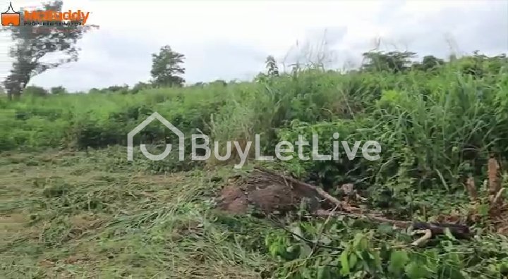 Land for sale at Free Trade Zone