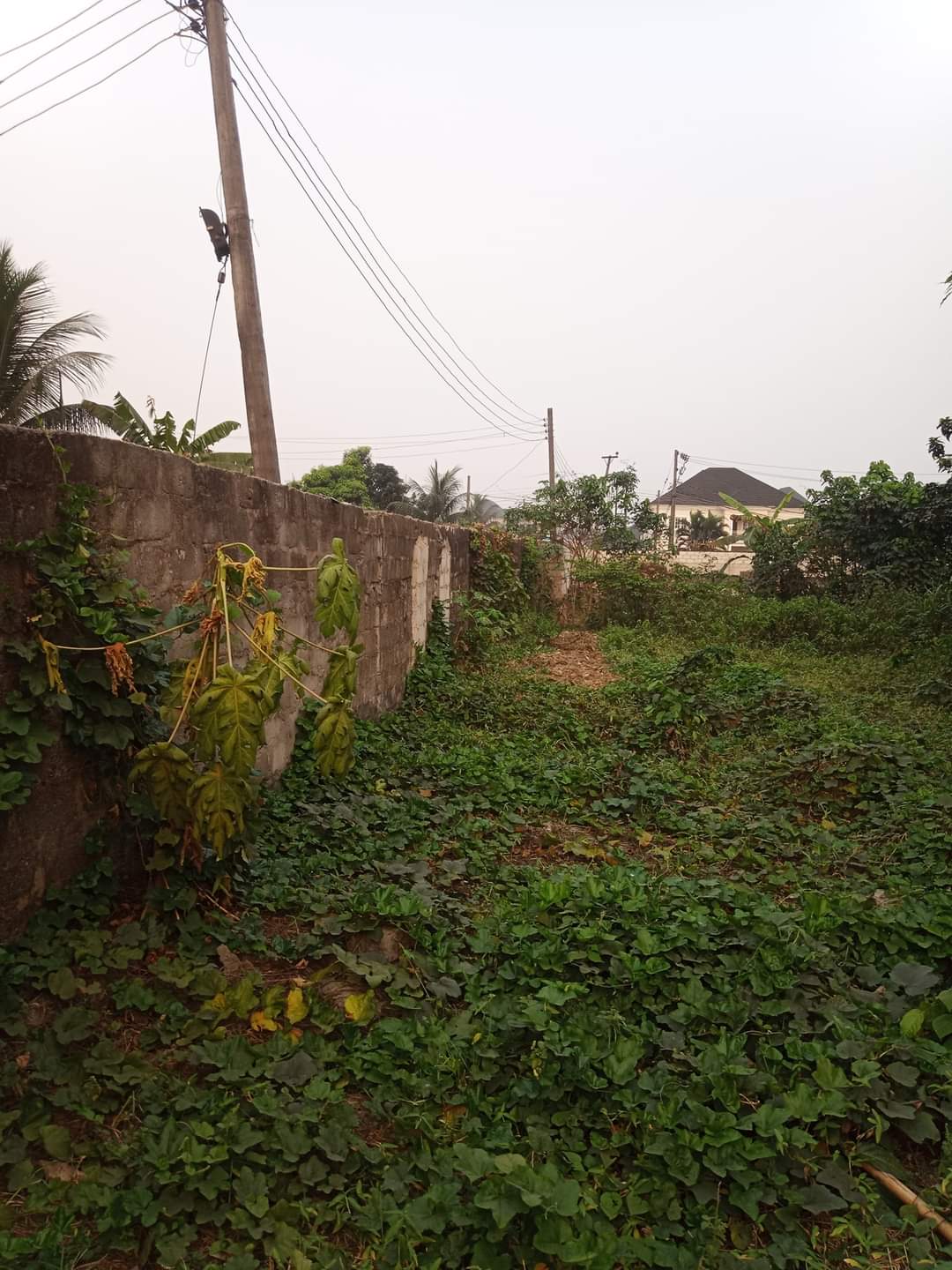 2 And Half Plots Of Land For Sale